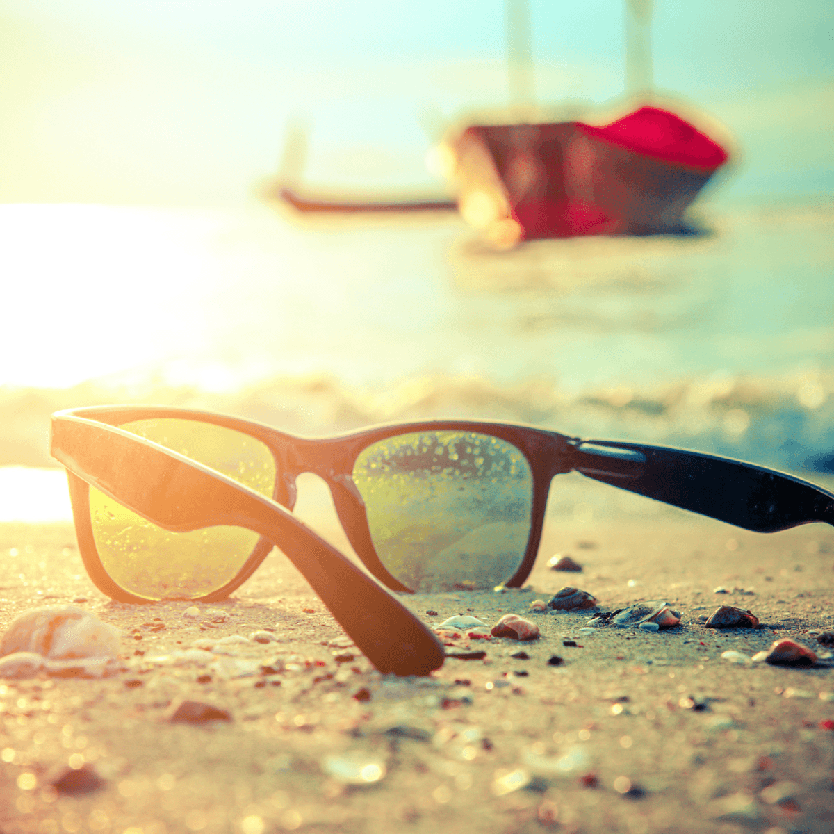 Wild Dixie Boutique | Sunglasses