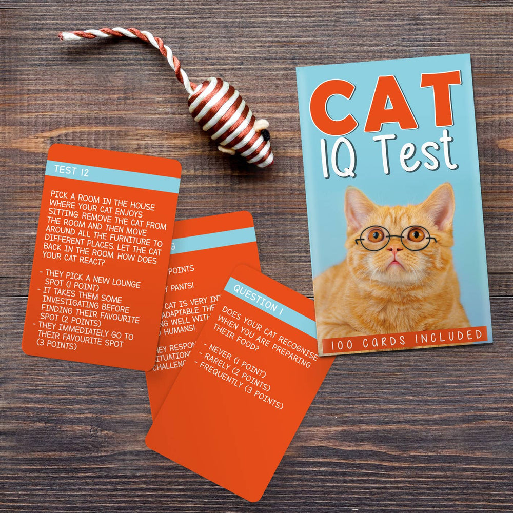 Cat IQ Test | Wild Dixie Boutique
